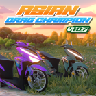 Asian Drag Champion PVPonline Icon