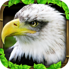 Eagle Simulator Logo