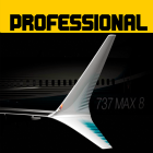 Flight 737 – MAXIMUM Logo