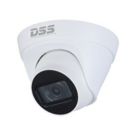Camera IP Dome hồng ngoại 4.0 Megapixel DAHUA DS2431TDIP-S2 – Hàng Chính Hãng