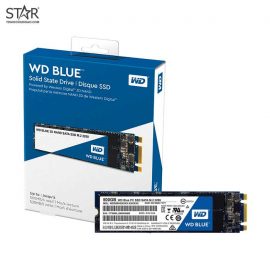 Ổ cứng SSD 250G Western Blue M.2 Sata III 6Gb/s (WDS250G2B0B)